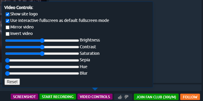 video controls