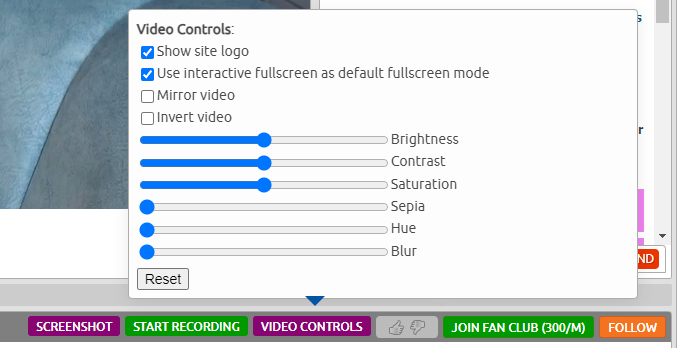 video controls