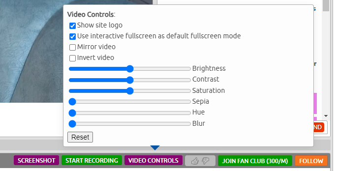 video-controls.png